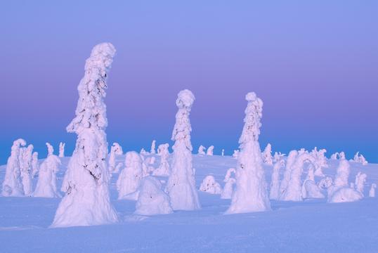 芬兰库萨莫的冬季