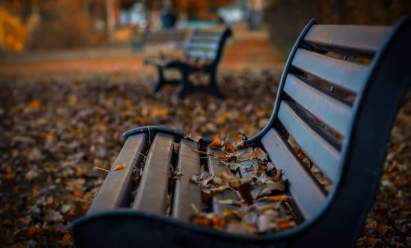 秋天公园里的孤单长椅