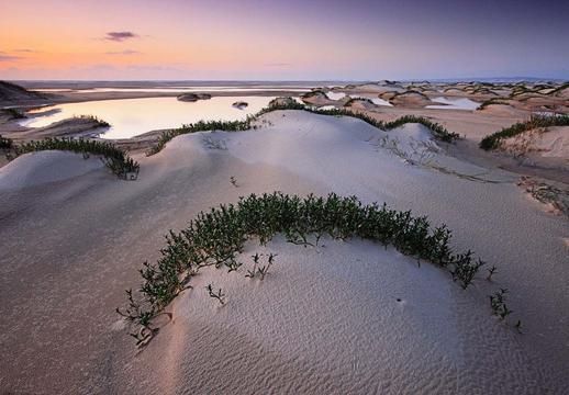澳大利亚海边沙丘