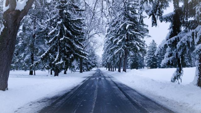 阴沉的冬季道路