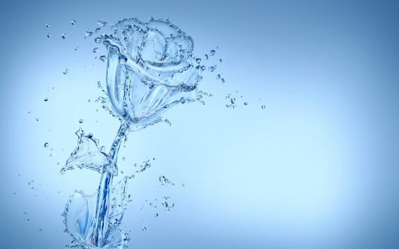 水之花